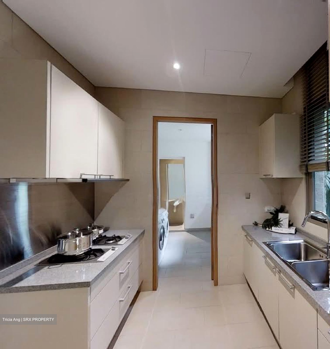 Bishopsgate Residences (D10), Condominium #582392801